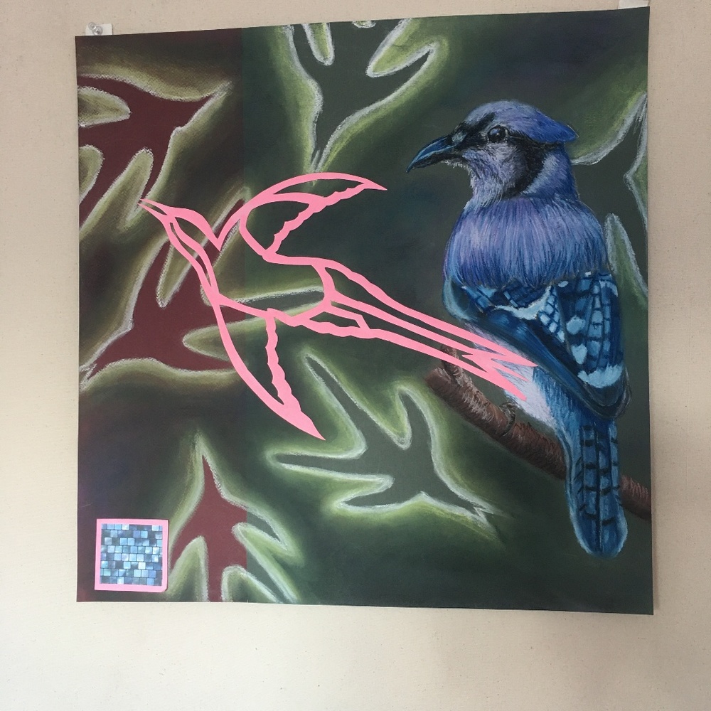 Original Nupastel Bird Drawing